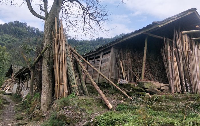 沐川县武圣乡图片