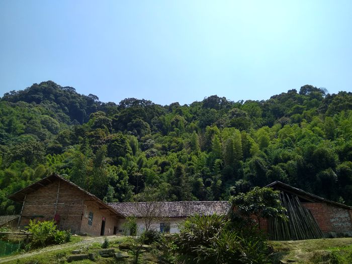 沐川县武圣乡图片